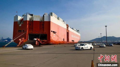 辽宁港口集团外贸商品车吞吐量大幅增长 商品车美洲航线扩容增量